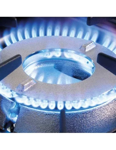 Плита газова TOP LINE (2 конфорки) 2х9 кВт, G 30 Stalgast 773013 Плита газова TOP LINE (2 конфорки) 2х9 кВт, G 30 Stalgast 773013