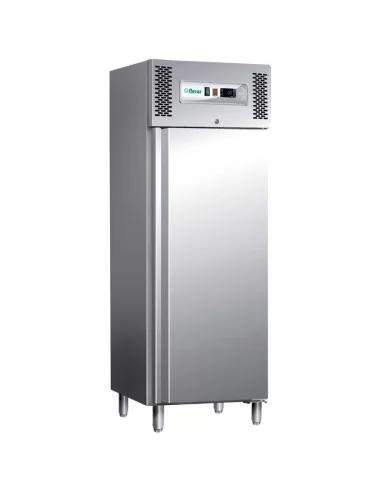 Шкаф морозильный PROFESSIONAL LINE 650 л (однодверный)