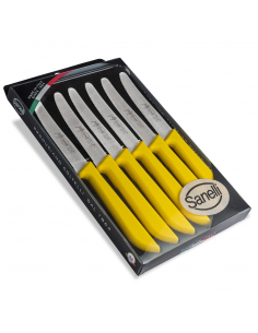 Набір столових ножів Sanelli Jolly 6 шт. в блістері жовтий 906206.G