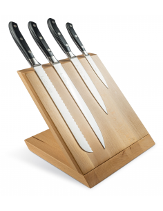 Набір ножів кухонних Sanelli Ergoforge 4 шт. на магнітній підставці 926904