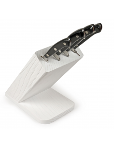 Набір ножів кухонних Sanelli Ergoforge Bianco 4 шт. з підставкою 927904B