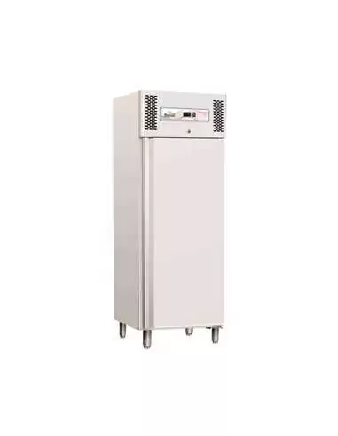 Шафа морозильна PROFESSIONAL LINE 1327 л (однодверна)