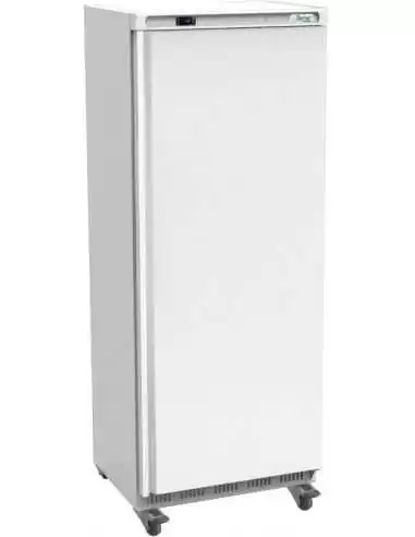 Шафа морозильна ECO LINE 641 л (однодверна)